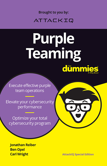 Purple Teaming for Dummies eBook