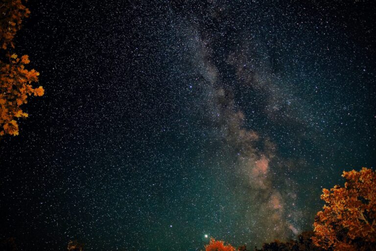 Looking Back at 2022: Adoption at Scale, Research, and Validated Industry Analysis 